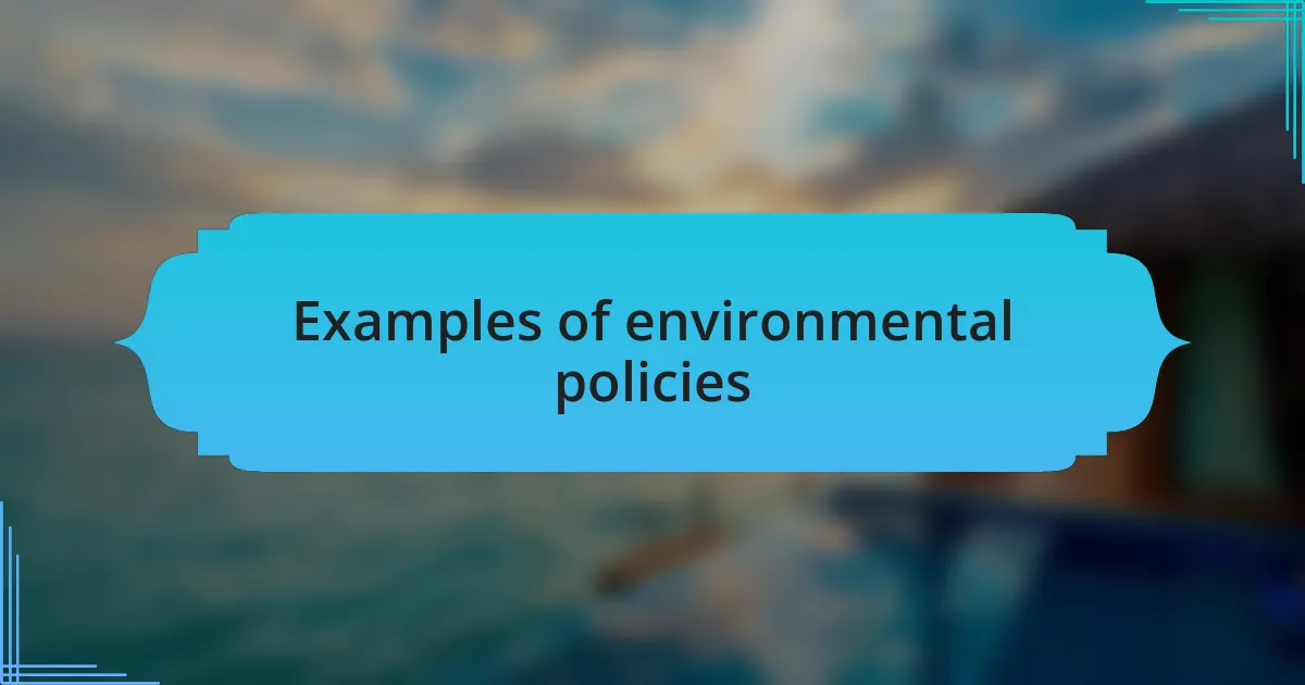 Examples of environmental policies