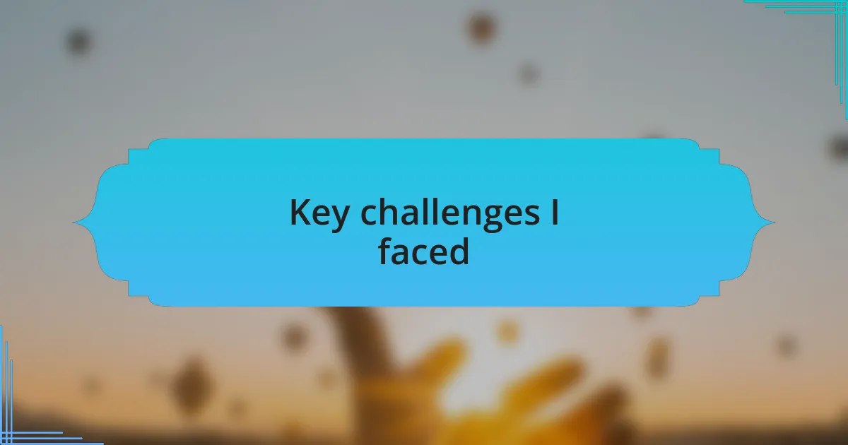 Key challenges I faced