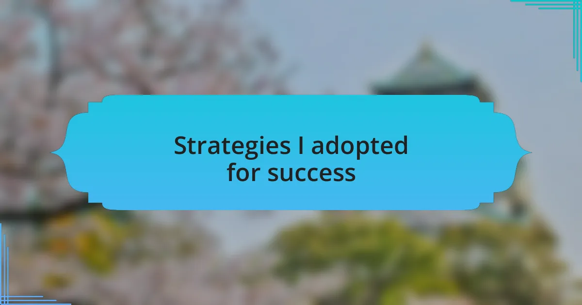 Strategies I adopted for success