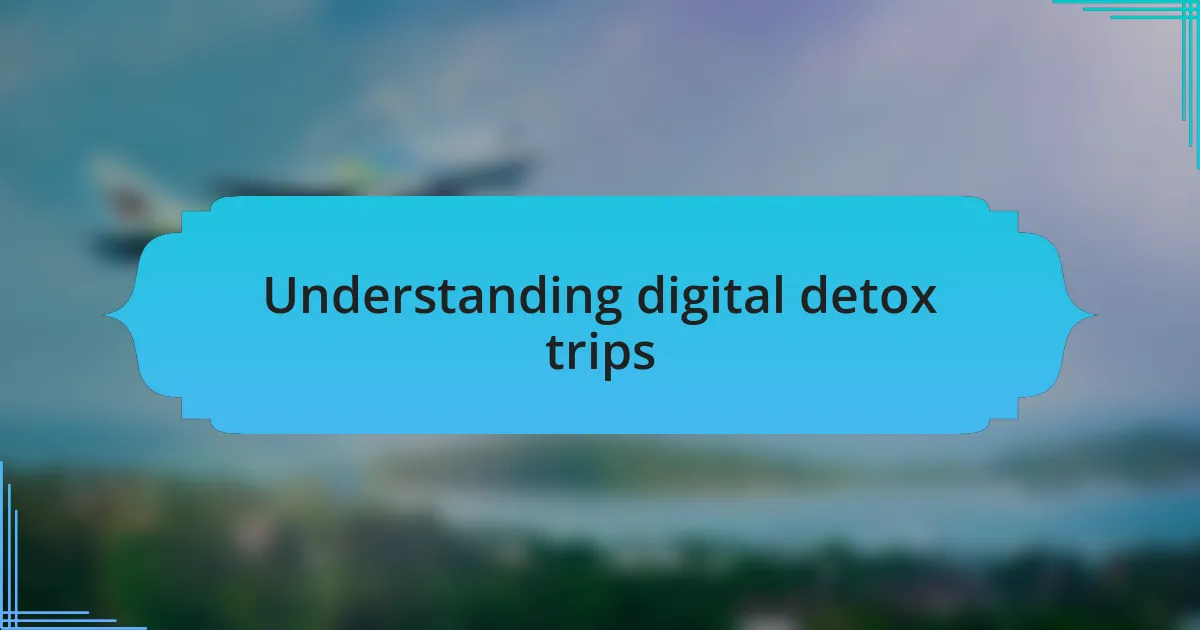 Understanding digital detox trips