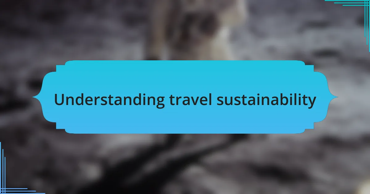 Understanding travel sustainability